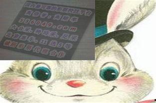 土蛙叫3d,土蛙叫声引领的3D奇幻之旅